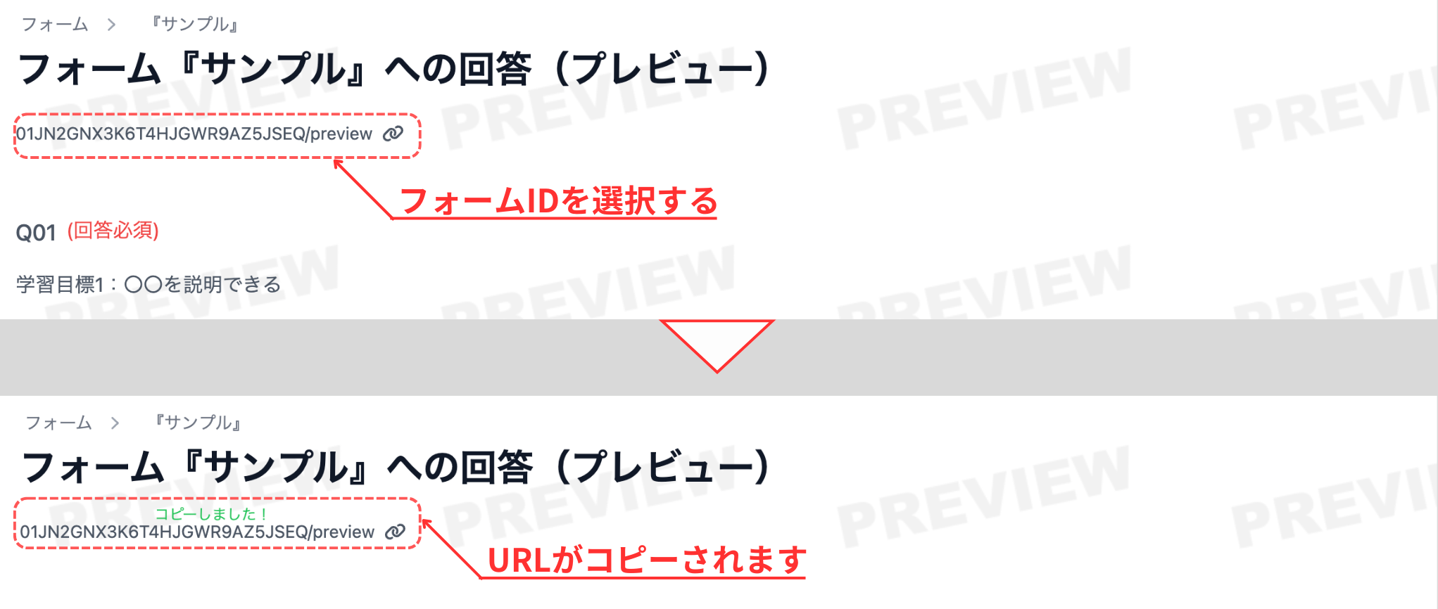 プレビュー画面